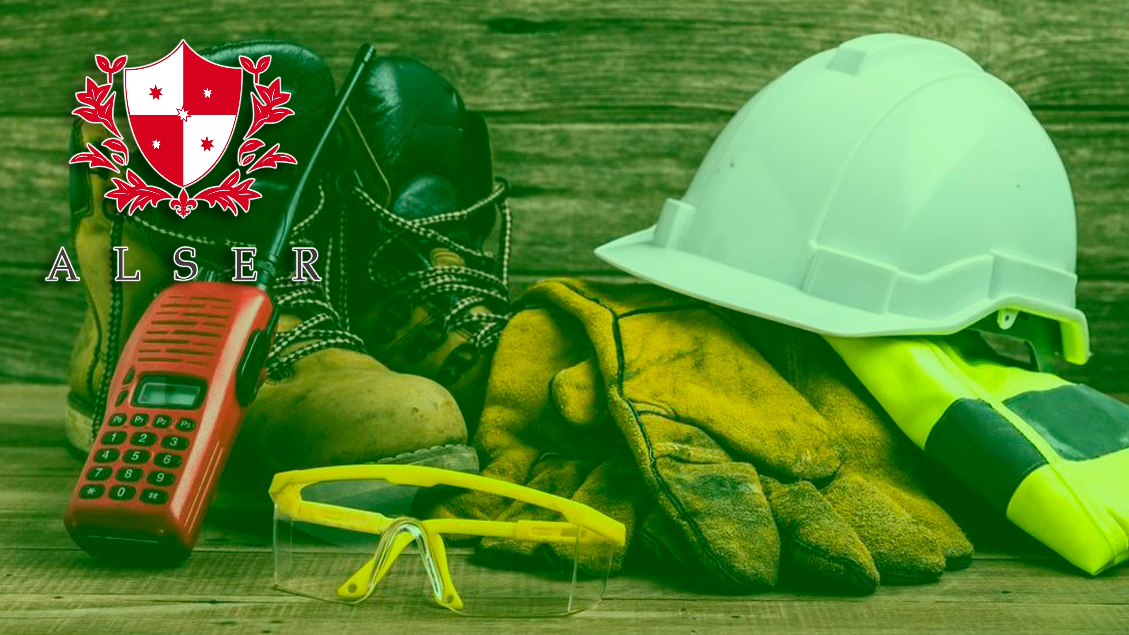 Seguridad y Protección Industrial